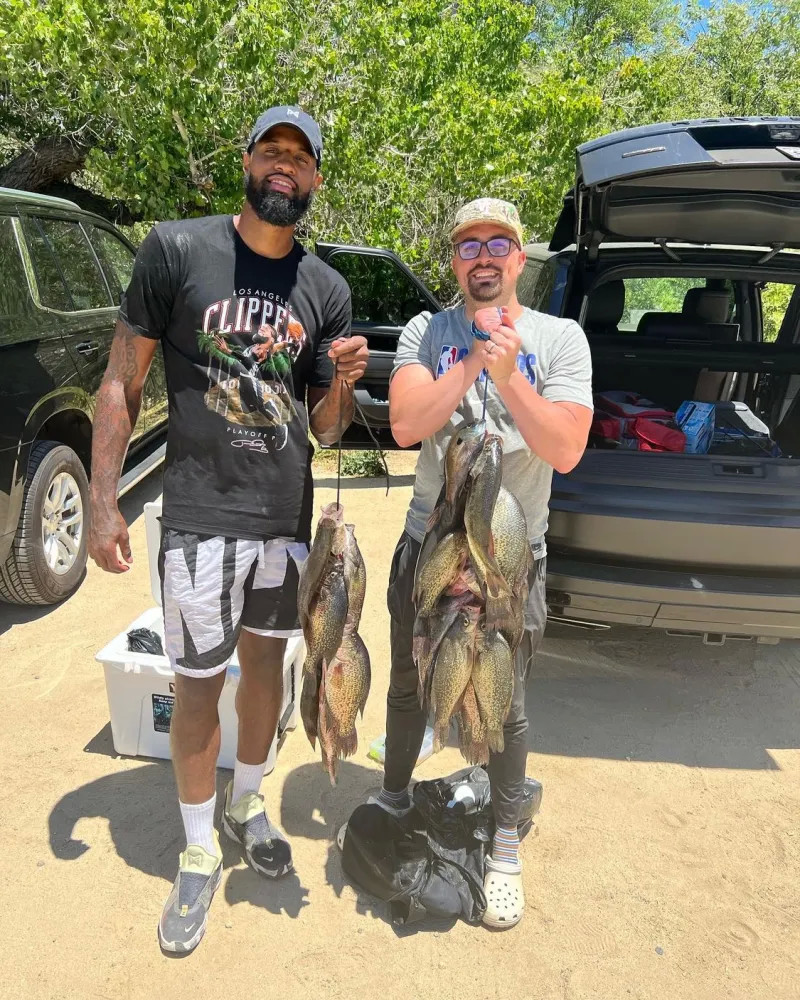 他被视为未 他被视为未