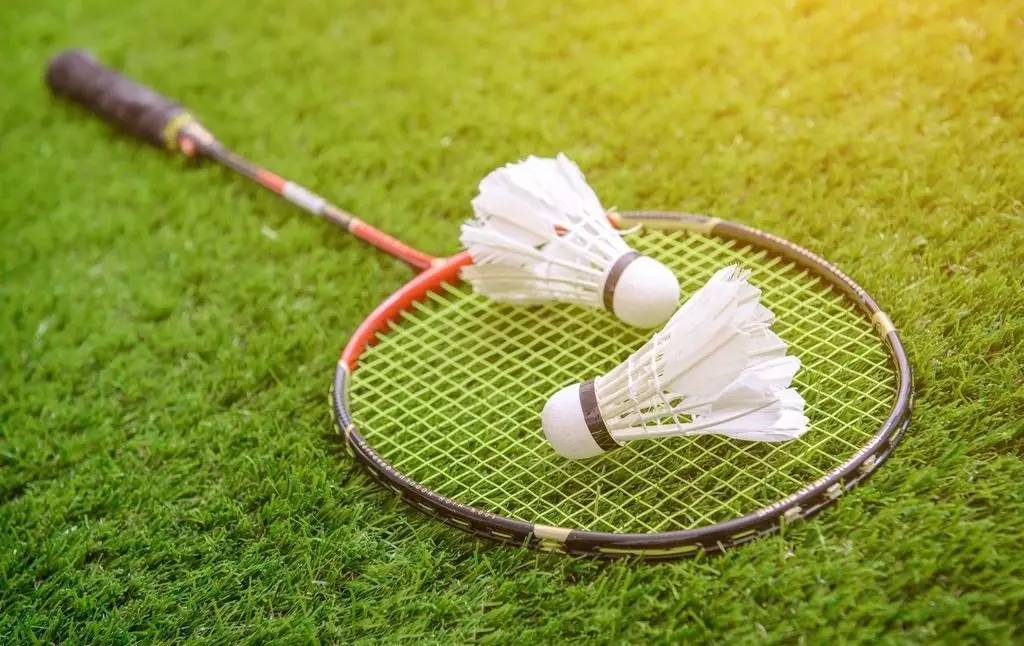 山德罗娃以 山德罗娃以