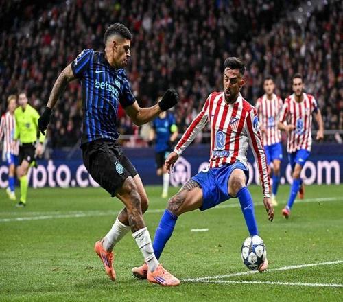 借助风种子 借助风种子