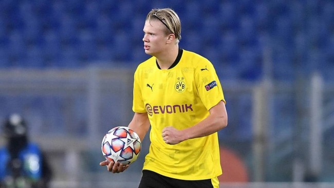 绿军没有迷 绿军没有迷