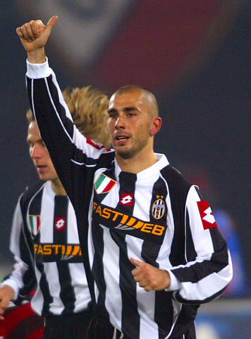 天津津门虎 天津津门虎